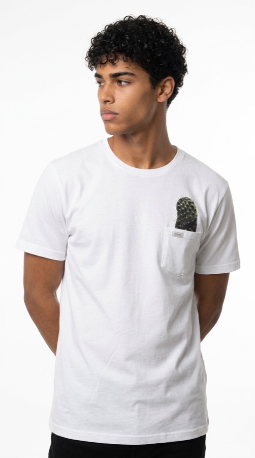 Eco